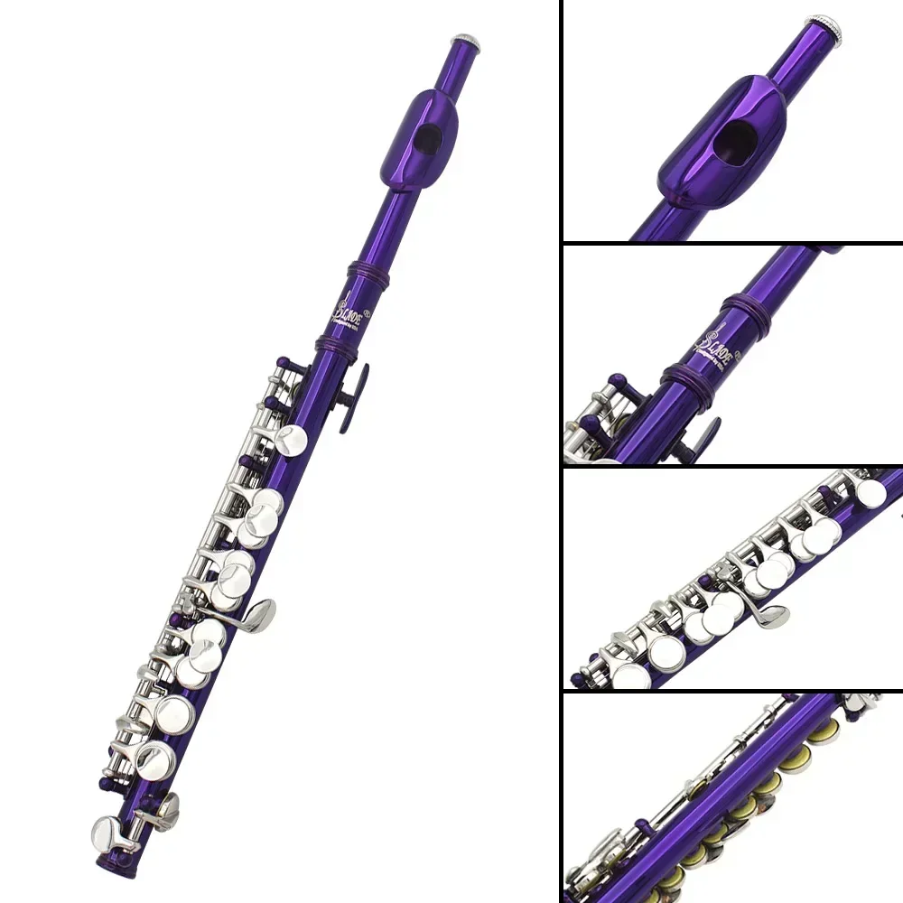 SLADE 16-Hole Piccolo  C Key - - Musical Instrument Piccolo review and price